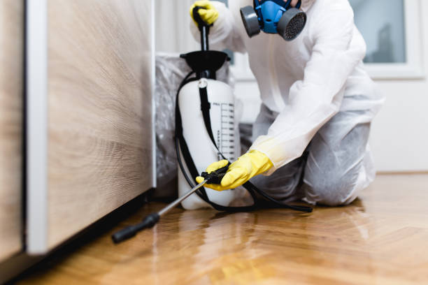 Best Local Pest Control Services  in Parker, FL