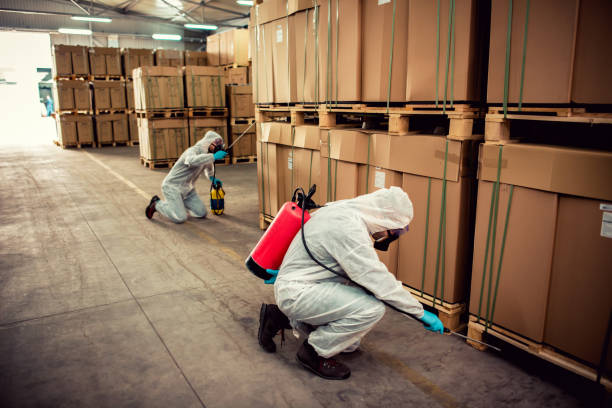 Best Pest Control Near Me in Parker, FL