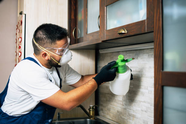 Best Emergency Pest Control  in Parker, FL