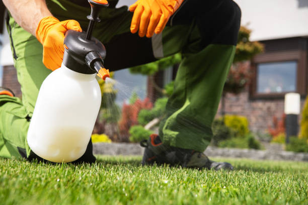 Best Pest Control Near Me  in Parker, FL