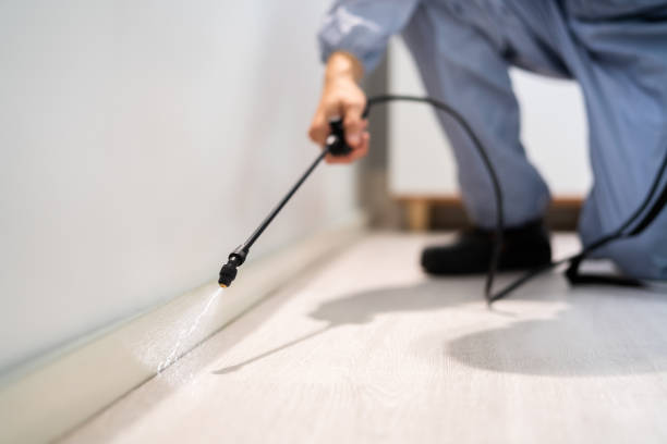 Best Flea Control Services  in Parker, FL