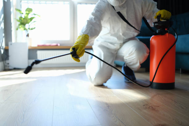 Best Wasp Removal Services  in Parker, FL