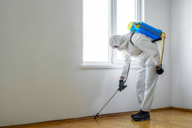 Best Local Pest Control Services  in Parker, FL