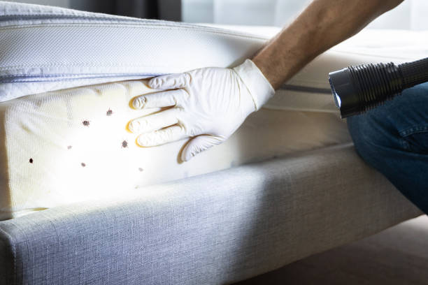 Best Cockroach Control Services  in Parker, FL