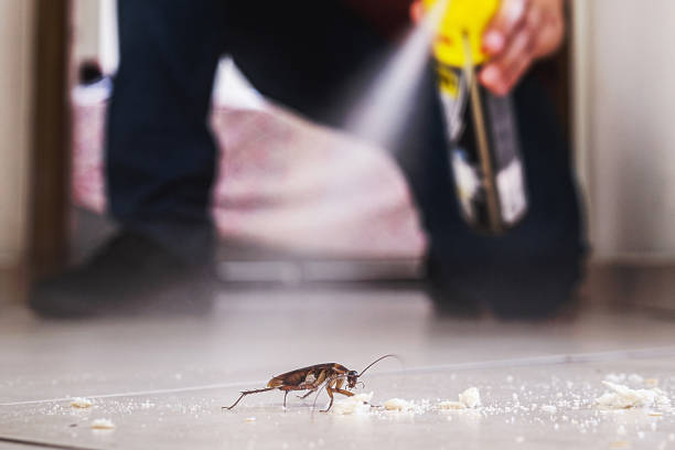 Professional Pest Control in Parker, FL