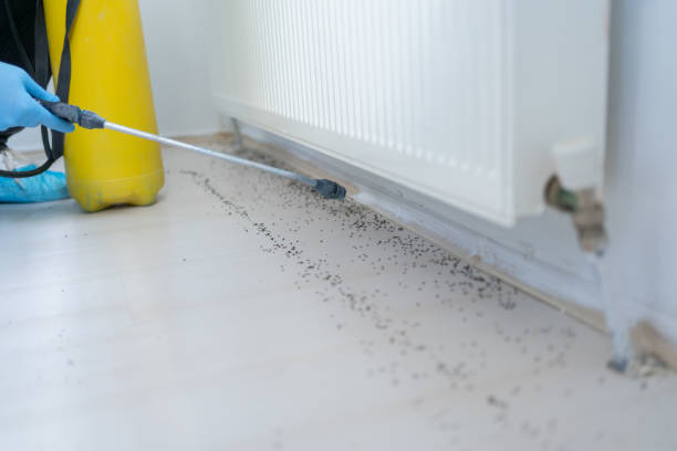 Best Commercial Pest Control Services  in Parker, FL