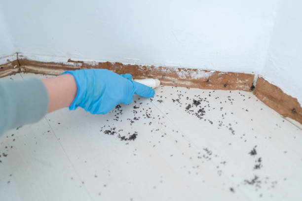 Best Pest Prevention Services  in Parker, FL