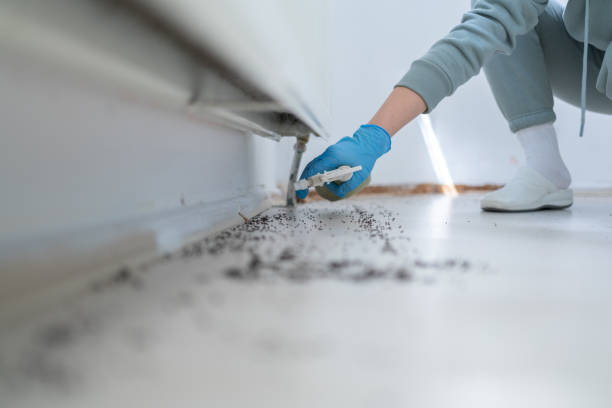 Best Pest Prevention Services  in Parker, FL
