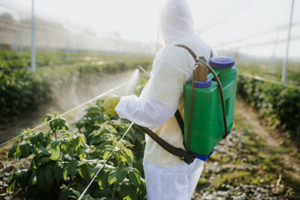 Best Pest Prevention Services  in Parker, FL